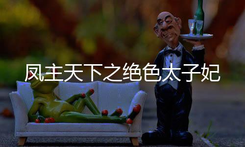 凤主天下之绝色太子妃