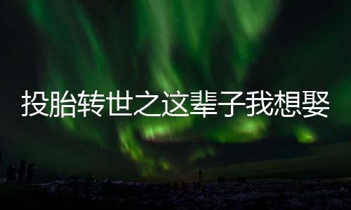 投胎转世之这辈子我想娶你