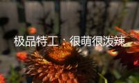 极品特工：很萌很