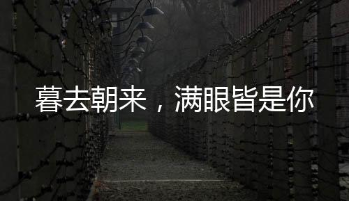 《恶毒女配在娃综被崽反向贴贴》全文在线阅读