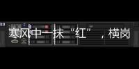 寒风中一抹“红”,横岗志愿者在行动!