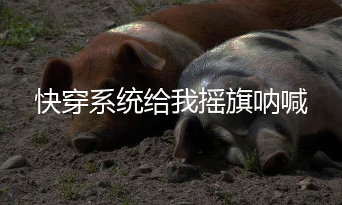 《替嫁随军第一晚，她就住进了医院》全文在线阅读