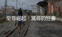 至尊崛起：冥尊的
