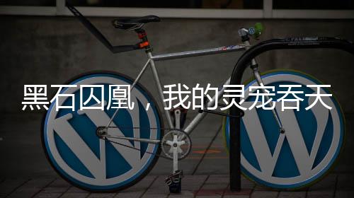 《夫人你马甲又掉了》全文在线阅读